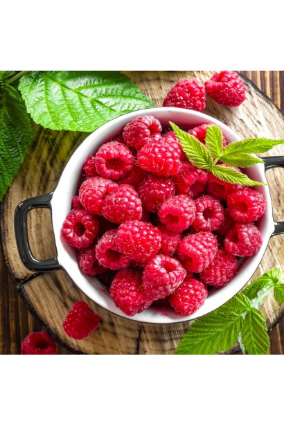 Ягоди малини сорту Геракл